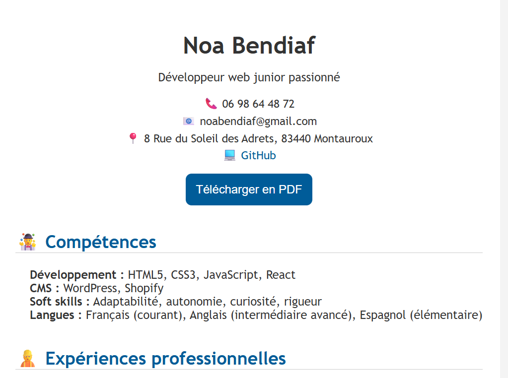 aperçu du CV